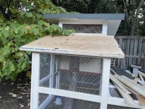 coop enclosure phase 2 part 2