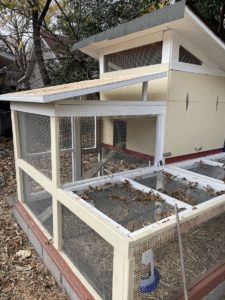 coop enclosure phase 2