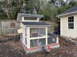 coop enclosure phase 2