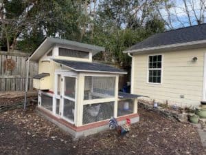 coop enclosure phase 2